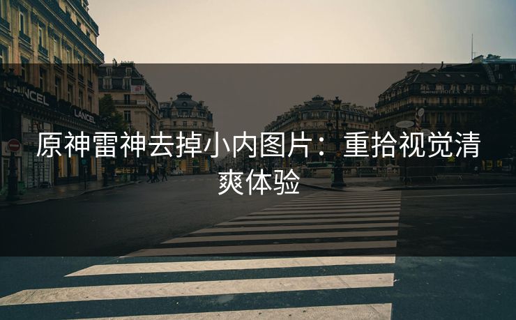 原神雷神去掉小内图片：重拾视觉清爽体验