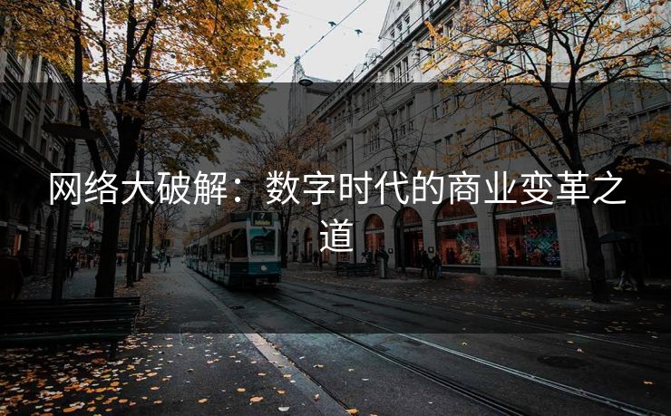 网络大破解：数字时代的商业变革之道