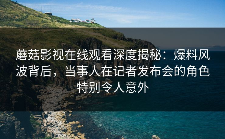 蘑菇影视在线观看深度揭秘：爆料风波背后，当事人在记者发布会的角色特别令人意外